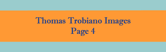 Thomas Trobiano Images page 4 Banner